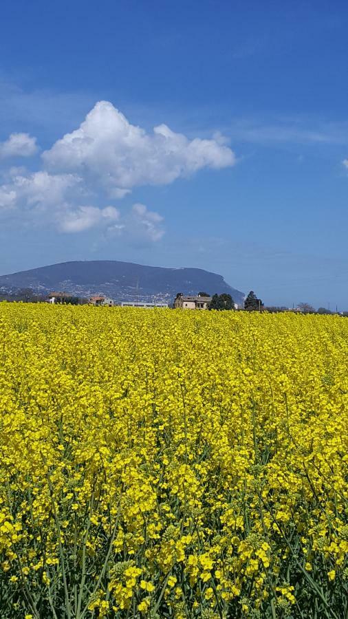 Villetta Del Conero Porto Recanati Luaran gambar