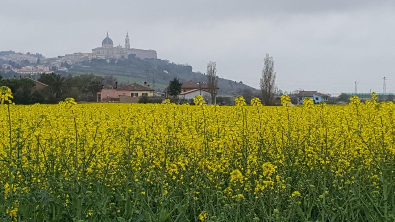 Villetta Del Conero Porto Recanati Luaran gambar